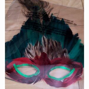 Mardi Gras Mask Green Sequin Trim Red Feather Eyes Surrounded by Green Feathers
